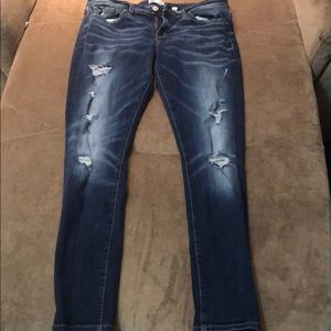 BKE Payton Skinny Plus Size